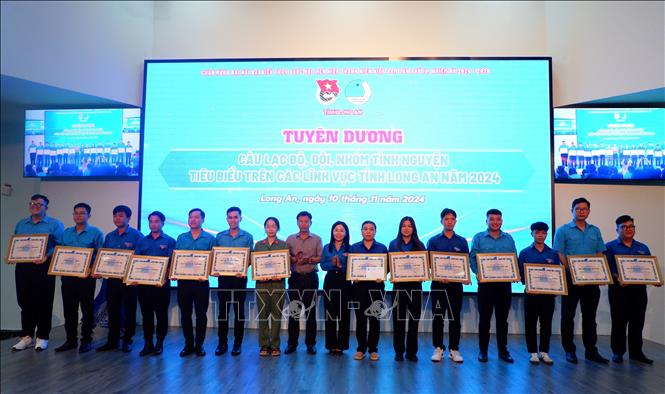 Hội Liên hiệp Thanh niên Việt Nam tỉnh Long An trao tặng bằng khen cho 15 Câu lạc bộ có nhiều thành tích tiêu biểu trong phong trào tình nguyện. Ảnh: Đức Hạnh - TTXVN