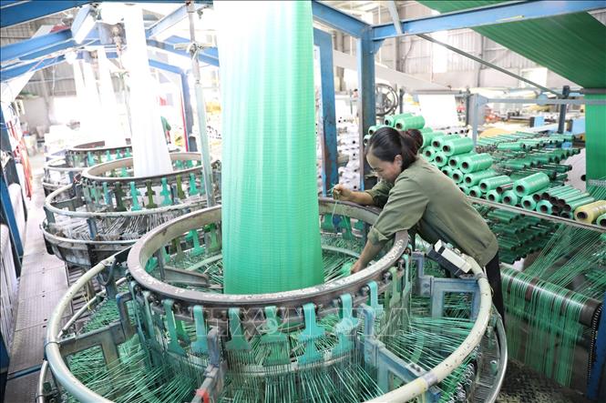 Công nhân Công ty Trách nhiệm hữu hạn Sản xuất bao bì Trường Thịnh tập trung sản xuất lô sản phẩm mới. Ảnh: Đức Phương - TTXVN
