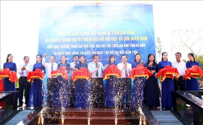 Cắt băng khánh thành Bia kỷ niệm Bác Hồ với cây vú sữa miền Nam cho huyện Thới Bình. Ảnh: Hồng Đạt - TTXVN 