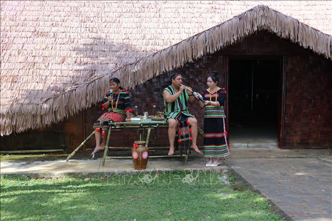 Hát sử thi kết hợp với biểu diễn nhạc cụ dân tộc là một trong những nghi thức không thể thiếu trong Lễ hội Kết bạn cộng đồng của đồng bào dân tộc S’tiêng được trình diễn tại Khu Bảo tồn Văn hóa dân tộc S’tiêng sóc Bom Bo. Ảnh: Nhật Bình – TTXVN