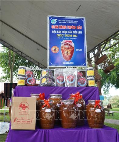 Đặc sản rượu cần của đồng bào dân tộc S'tiêng được trưng bày tại Khu Bảo tồn Văn hóa dân tộc S’tiêng sóc Bom Bo. Ảnh: Nhật Bình – TTXVN