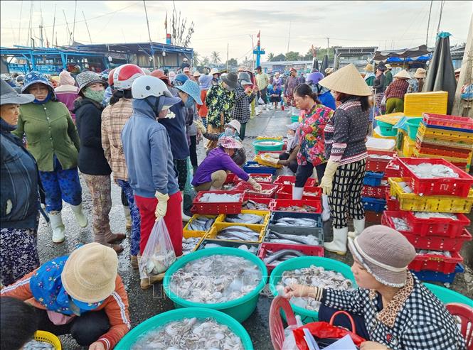Seafood collected at the Dong Hai port in the coastal south-central province of Ninh Thuan. VNA Photo: Nguyễn Thành