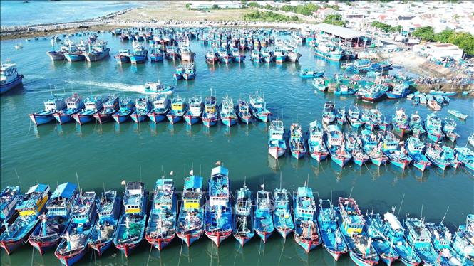 Fishing boats at the My Tan port in the coastal south-central province of Ninh Thuan. VNA Photo: Nguyễn Thành
