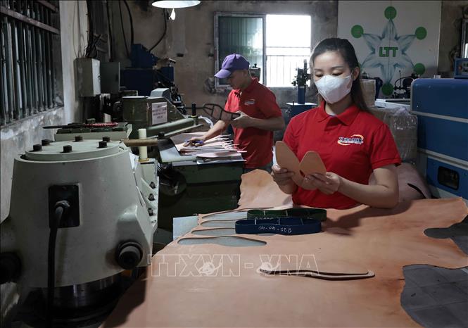 Sản xuất giầy xuất khẩu tại Công ty giầy Việt Anh. Ảnh: Trần Việt - TTXVN