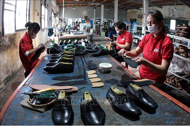 Sản xuất giầy xuất khẩu tại Công ty giầy Việt Anh. Ảnh: Trần Việt - TTXVN