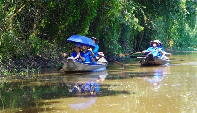 Du khách trải nghiệm bơi xuồng tham quan Rừng tràm Gáo Giồng. Ảnh: Nhựt An - TTXVN