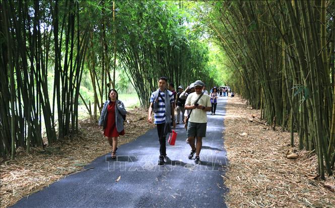 Du khách tham quan đường tre Gáo Giồng dài hơn 2km. Ảnh: Nhựt An - TTXVN