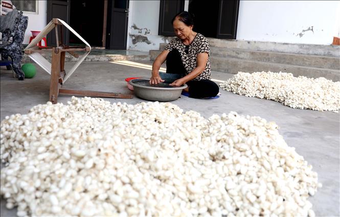 Làng nghề dệt đũi Nam Cao, xã Thống Nhất (Kiến Xương, Thái Bình), có tuổi đời gần 400 năm từng bị mai một, đang dần hồi sinh. Ảnh: Thế Duyệt – TTXVN 