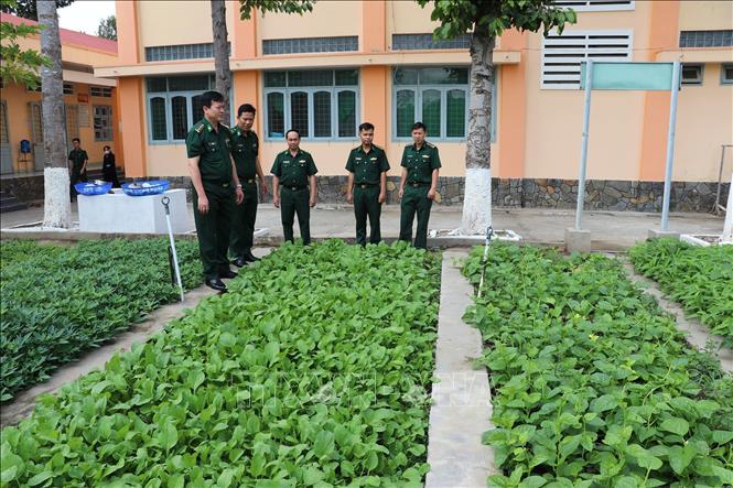 Lãnh đạo Bộ Tư lệnh Bộ đội Biên phòng tham quan vườn rau của Đồn Biên phòng Phú Tân, Bộ đội Biên phòng Tiền Giang. Ảnh: Hữu Chí - TTXVN