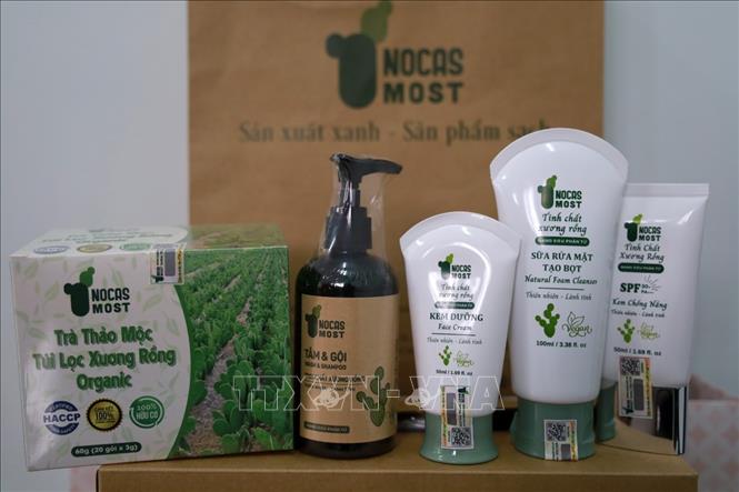 Các sản phẩm từ xương rồng: dầu tắm gội, kem chống nắng, sửa rửa mặt, kem dưỡng và trà thảo mộc thương hiệu NOCAS MOST được bán trên thị trường. Ảnh: Xuân Triệu - TTXVN