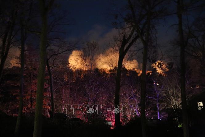 Cháy rừng tại bang New Jersey, Mỹ ngày 9/11/2024. Ảnh: THX/TTXVN