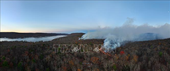 Cháy rừng tại bang New Jersey, Mỹ ngày 9/11/2024. Ảnh: THX/TTXVN