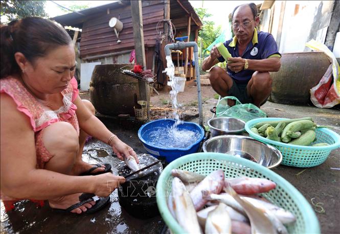 Đến nay trên toàn quốc có 74,2% hộ gia đình nông thôn được sử dụng nước sạch đạt quy chuẩn. Hộ nông dân Nguyễn Thị Bé ở ấp Tân Hoà, xã Long Tân, huyện Đất Đỏ, tỉnh Bà Rịa - Vũng Tàu, được hưởng thụ nguồn nước sạch từ công trình cấp nước sạch tập trung. Ảnh: Vũ Sinh - TTXVN