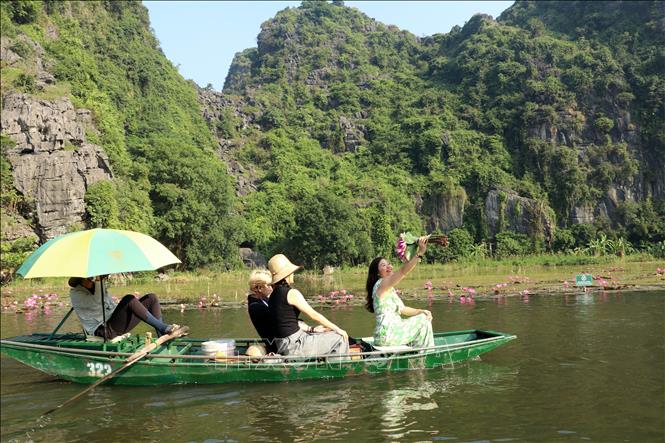Sắc tím dịu dàng của những bông hoa súng là cảm hứng bất tận cho những bức ảnh lưu niệm của du khách khi đến Khu du lịch Tam Cốc, huyện Hoa Lư, tỉnh Ninh Bình. Ảnh: Thùy Dung - TTXVN
