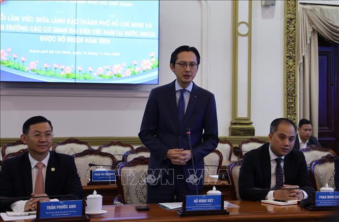 Thứ trưởng Bộ Ngoại giao Đỗ Hùng Việt phát biểu tại buổi làm việc. Ảnh: Hứa Chung-TTXVN