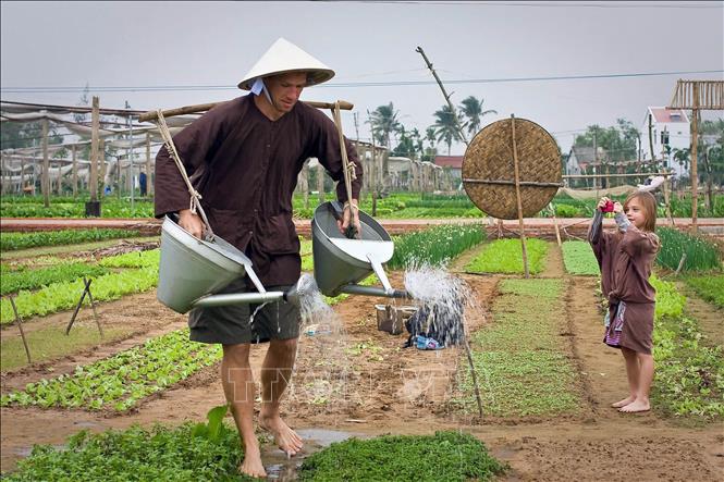 Tourists experience the farming work at Tra Que village. VNA/Photo by courtesy 