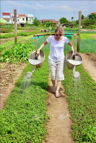 Tourists experience the farming work at Tra Que village. VNA/Photo by courtesy 