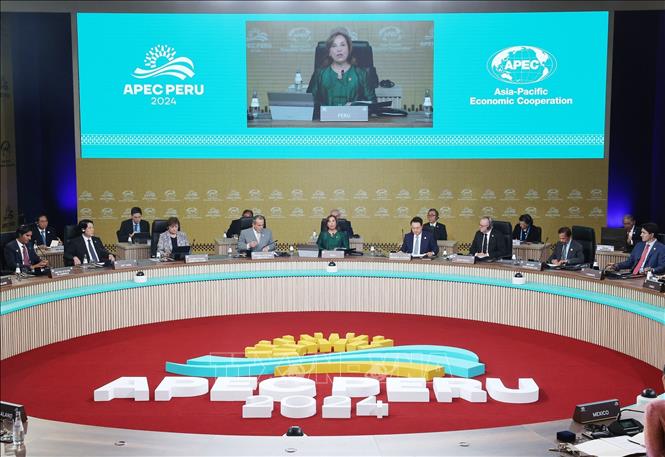 President Luong Cuong attends the 31st APEC Economic Leaders' Meeting with the theme 
