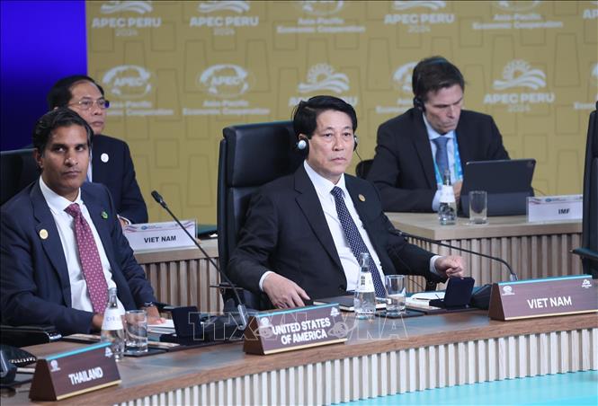 President Luong Cuong attends the 31st APEC Economic Leaders' Meeting with the theme 
