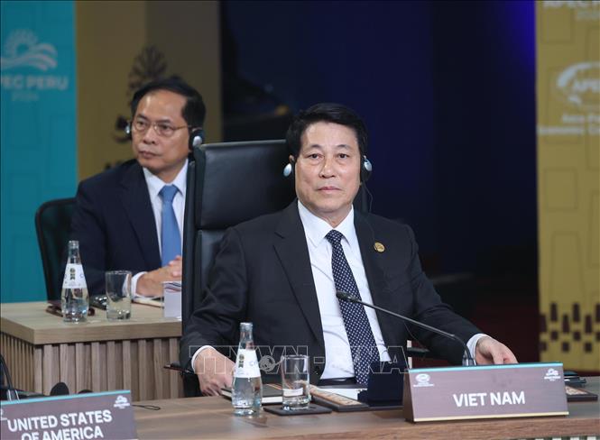 President Luong Cuong attends the 31st APEC Economic Leaders' Meeting with the theme 