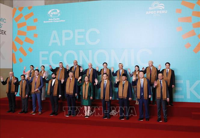 President Luong Cuong attends the 31st APEC Economic Leaders' Meeting with the theme 