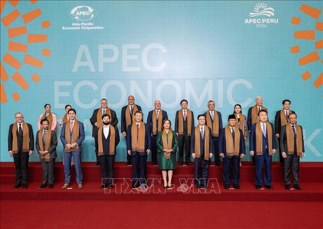 President Luong Cuong attends the 31st APEC Economic Leaders' Meeting with the theme 