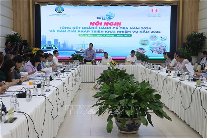 Quang cảnh Hội nghị Tổng kết ngành hàng cá tra năm 2024. Ảnh: Nguyễn Văn Trí - TTXVN