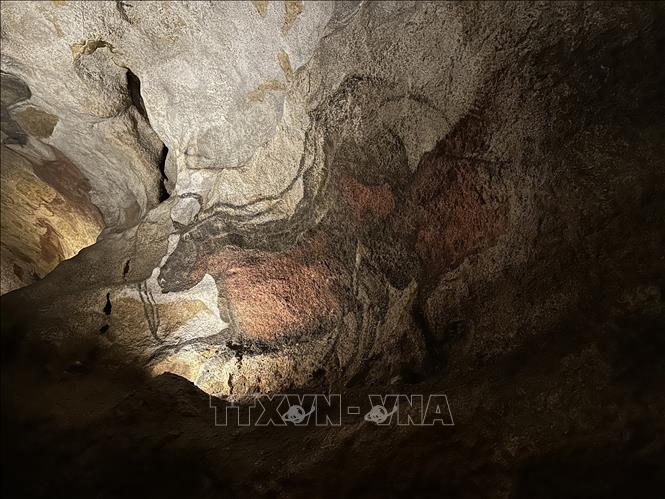 Một số hình ảnh được tái tạo theo phiên bản gốc tại hang Lascaux II. Ảnh: Nguyễn Thu Hà - PV TTXVN tại Pháp 