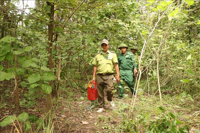 Lực lượng kiểm lâm Khu bảo tồn thiên nhiên Ea Sô tuần tra, bảo vệ đa dang sinh học. Ảnh: Tuấn Anh - TTXVN