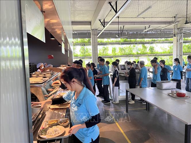Công nhân của Công ty TNHH Jakob Sài Gòn đang hoạt động tại  Khu công nghiệp Việt Nam - Singapore tại tỉnh Bình Dương lấy đồ ăn giữa ca dưới căn tin phủ xanh. Ảnh: Dương Chí Tưởng -TTXVN