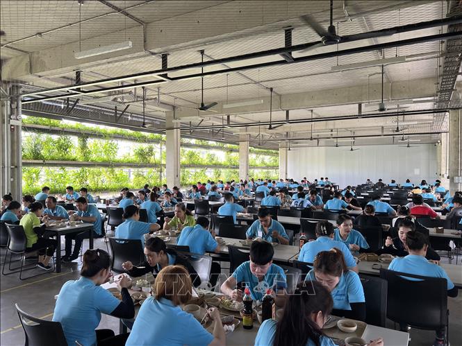 Công nhân của Công ty TNHH Jakob Sài Gòn đang hoạt động tại  Khu công nghiệp Việt Nam - Singapore tại tỉnh Bình Dương đang ăn cơm dưới căn tin phủ xanh. Ảnh: Dương Chí Tưởng -TTXVN