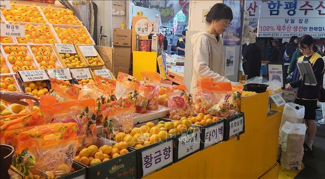 Đến các khu chợ truyền thống dễ dàng tìm thấy các quầy bán quýt vô cùng bắt mắt. Ảnh: Trường Giang - PV TTXVN tại Hàn Quốc