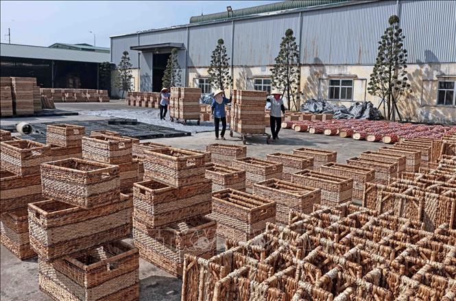 Sản phẩm thùng đựng quần áo từ bèo tây xuất khẩu sang thị trường Mỹ tại Công ty Phú Tuấn. Ảnh: Trần Việt - TTXVN