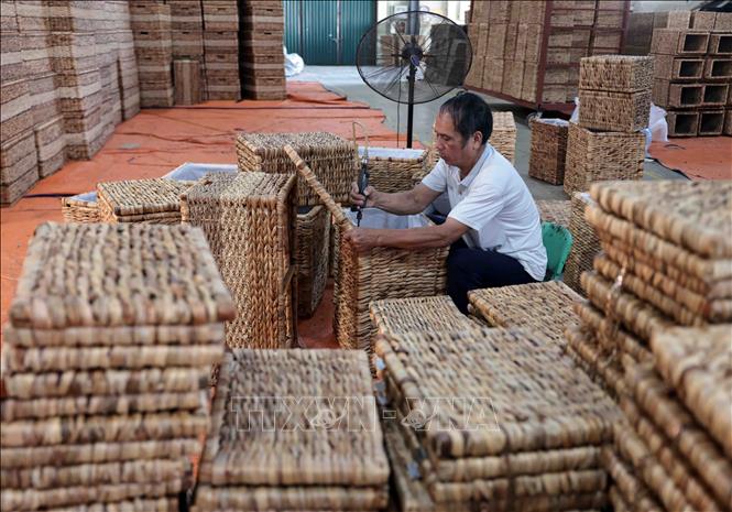 Sản xuất thùng đựng quần áo từ bèo tây xuất khẩu sang thị trường Mỹ tại Công ty Phú Tuấn. Ảnh: Trần Việt - TTXVN