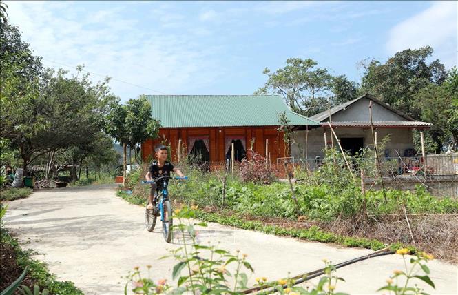 Nhờ có nguồn thu nhập ổn định từ cây chè, nhiều hộ dân xã Bản Bo (Tam Đường, Lai Châu) thoát nghèo và xây dựng được những ngôi nhà khang trang. Ảnh: Quý Trung – TTXVN