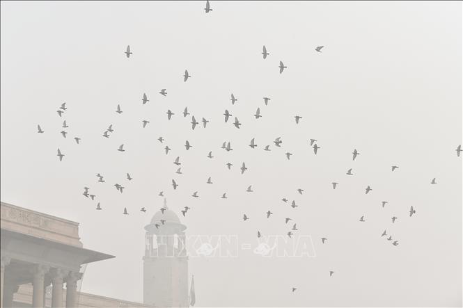 Khói mù ô nhiễm bao phủ dày đặc tại New Delhi, Ấn Độ. Ảnh: ANI/TTXVN
