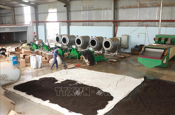 Nhà máy chế biến chè của Công ty Cổ phần đầu tư phát triển chè Tam Đường (Lai Châu). Ảnh: Quý Trung – TTXVN