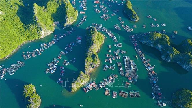 Năm 2023, Quần thể Vịnh Hạ Long - Quần đảo Cát Bà (thuộc địa bàn tỉnh Quảng Ninh và thành phố Hải Phòng) được công nhận là Di sản Thiên nhiên Thế giới. Trong ảnh: Vẻ đẹp của Vịnh Lan Hạ (nằm ở phía Đông đảo Cát Bà) nhìn từ trên cao. Ảnh: Minh Đức -  TTXVN