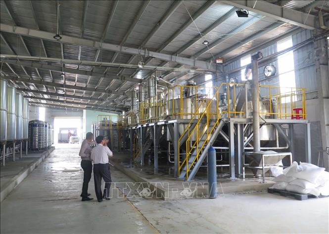 Nhà máy chế biến nước ép hoa quả của Công ty TNHH chế biến nông sản Sao Mai, Kon Tum đang được xây dựng, dự kiến đi vào hoạt động tháng 6/2025, có thể sản xuất 150 - 170 tấn quả tươi chanh dây mỗi ngày. Ảnh: Dư Toán – TTXVN.