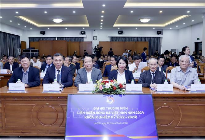 Đại biểu tham dự Đại hội. Ảnh: VFF/TTXVN phát