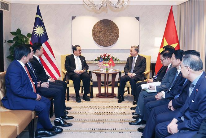 Party General Secretary To Lam receives Francis Yeoh Sock Ping, Executive Director of YTL Corporation Berhad. VNA Photo: Thống Nhất