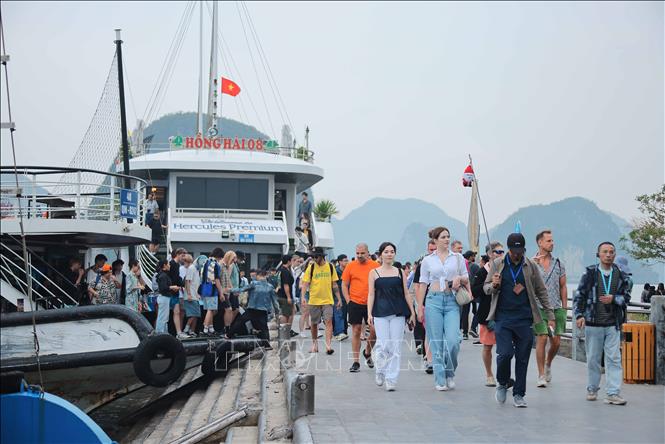 Quảng Ninh đón lượng lớn du khách tham quan, tìm hiểu vẻ đẹp tự nhiên của Vịnh Hạ Long. Ảnh: Hoàng Hiếu - TTXVN