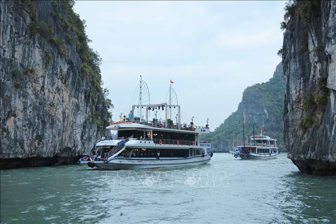 Các tàu ngược xuôi đưa, đón du khách tham quan, chiêm ngưỡng vẻ đẹp của vịnh Hạ Long. Ảnh: Hoàng Hiếu – TTXVN