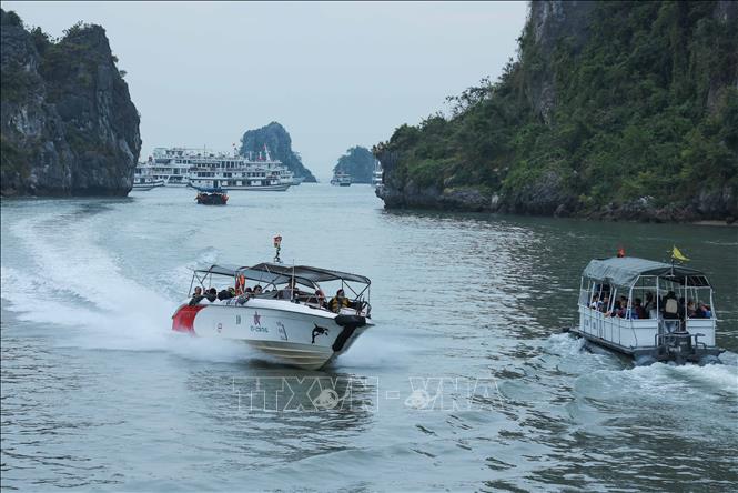 Các tàu ngược xuôi đưa, đón du khách tham quan vịnh Hạ Long. Ảnh: Hoàng Hiếu – TTXVN