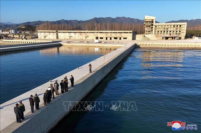 Nhà lãnh đạo Triều Tiên Kim Jong Un thị sát việc xây dựng một trang trại nuôi trồng thủy sản ngoài khơi tại thành phố cảng Sinpho, tỉnh Nam Hamgyong ngày 26/11/2024. Ảnh: KCNA/TTXVN