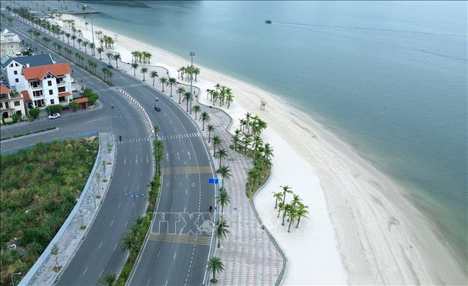 Phía cuối đường Trần Quốc Nghiễn là bãi biển dài 900 m, rộng gần 100 m với những hàng dừa xanh mát. Ảnh: Quốc Khánh - TTXVN
