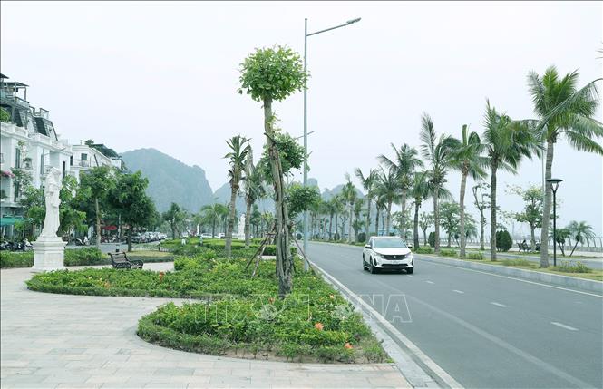 Khuôn viên, cảnh quan vỉa hè dọc tuyến đường. Ảnh: Quốc Khánh - TTXVN