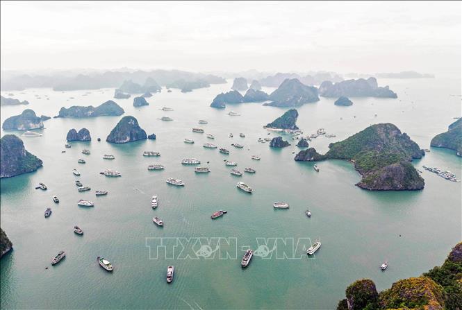 Vịnh Hạ Long có diện tích 1.553 km2 bao gồm 1.969 hòn đảo, chủ yếu là đảo đá vôi. Ảnh: Hoàng Hiếu - TTXVN