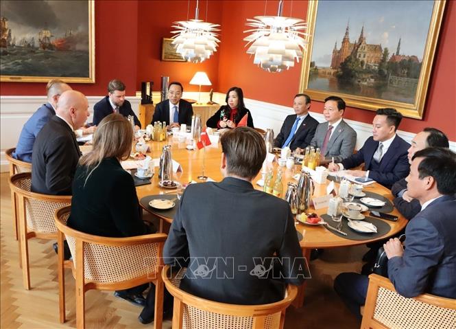 Deputy Prime Minister Tran Hong Ha meets with Speaker of the Danish Parliament Soren Gade in Copenhagen on November 26. VNA Photo: Hương Giang
