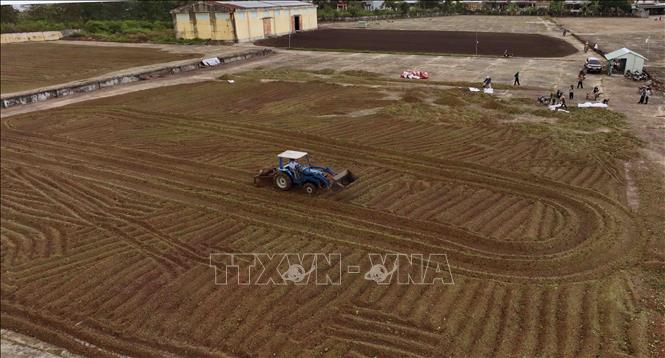 The Vietnam National Coffee Corporation (Vinacafe) expects to gain a coffee productivity of 14-15 tonnes per ha in the 2024-2025 crop in the Central Highlands province of Kon Tum. VNA Photo: Vũ Sinh
